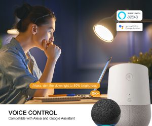 Smart Wifi 6W Voice control